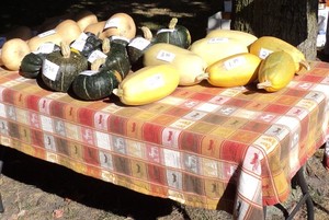 Hastings Farmers' Market