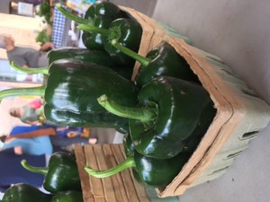 Cheryl Wagner / Wagner's Homestead Farm