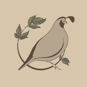 Quail Meadow Farm