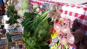 Grassroots Farm