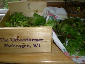 The Urbanfarmer