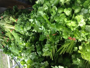 Inyoni Organic Farm