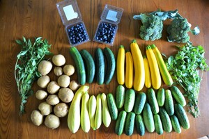 Brown Family Farm