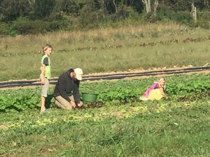 Asbury Village Farm
