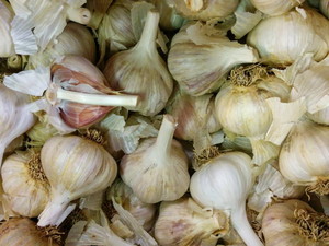Dirt Goddess Super Seeds & Garlic Farm