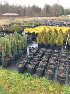 Prevette Family Farm