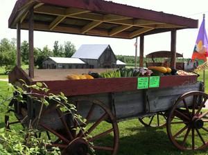 Country Dreams Farm