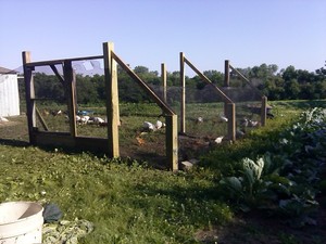 Brite Acres