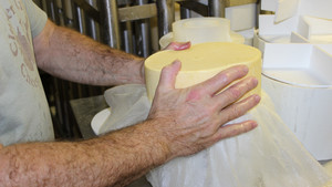 Clover Creek Cheese Cellar, LLC