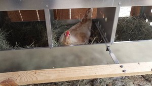 Rocking 45 Farm, LLC