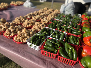 Eagle River Farmers Market