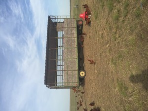 Humble Rooster Farm, LLC