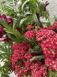 Down to Earth McGolrick Park Farmers Market