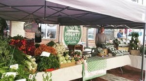 Mighty Greens Farm