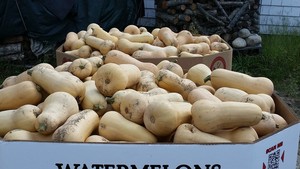 Anawan Farm