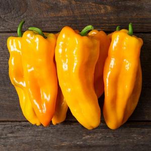 Harlequin Produce