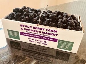 Neal's Berry Farm & Farmer's Market