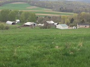 Great Northern Farm