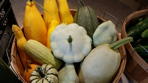 The Veggie Shed & Supply  Depot