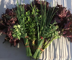 Enka:ri Farm