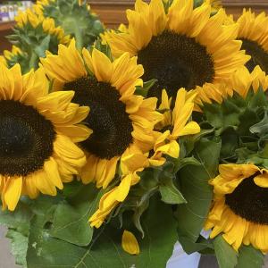 Highland Orchards Farm Market