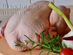 Bingham's Branch