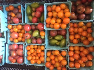 Oak Spring Farm