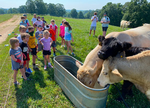 NOMAD Farms, LLC