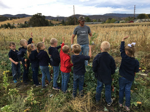 Brite Creek Farm