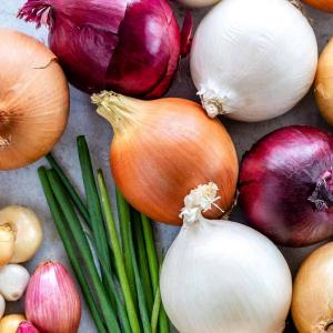 Harvest Tide Organics