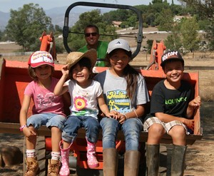 Olive Us Farms
