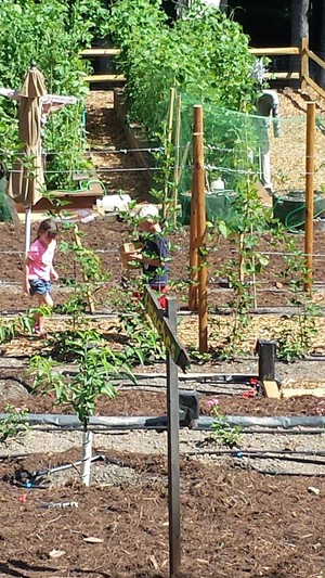Homegirl's Farm