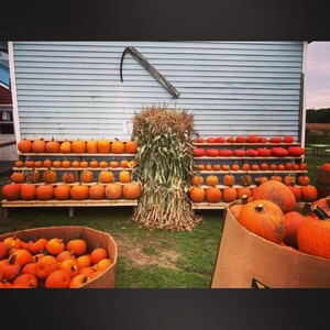 Hayner Farm