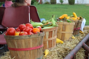 Victory Acres Farm