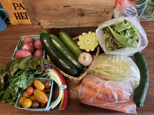 Fledgling Farmstead LLC