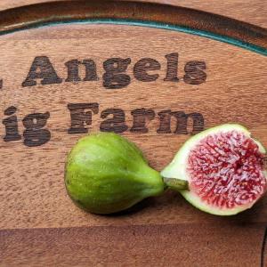 2 Angels Farm