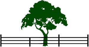 Dreaming Tree Farms