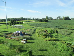 Benham Farms