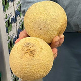 Agriberry Farm and CSA