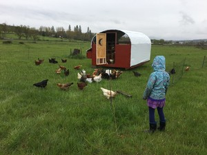 Raven Wolf Farm