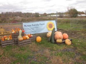 Russo Family Farms