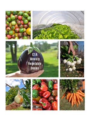 Strattons Farm