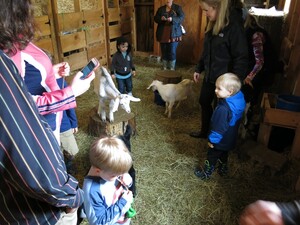 Hust Roost Farm, LLC