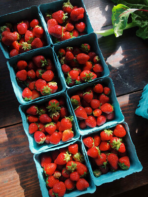 Unadilla Community Farm