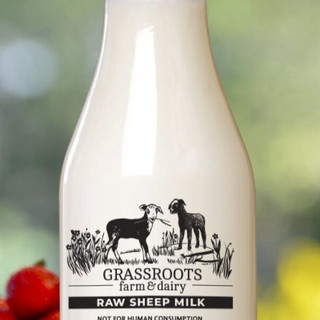 Grassroots Farm & Dairy