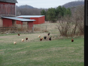 MoonRise Farm