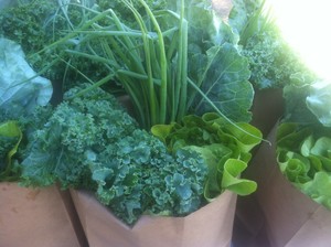 Urban Folk Farm