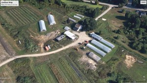 Lewis Farm & Greenhouses