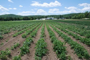 Brookford Farm