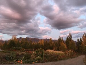 Cloud Eleven Mountain Farm LLC